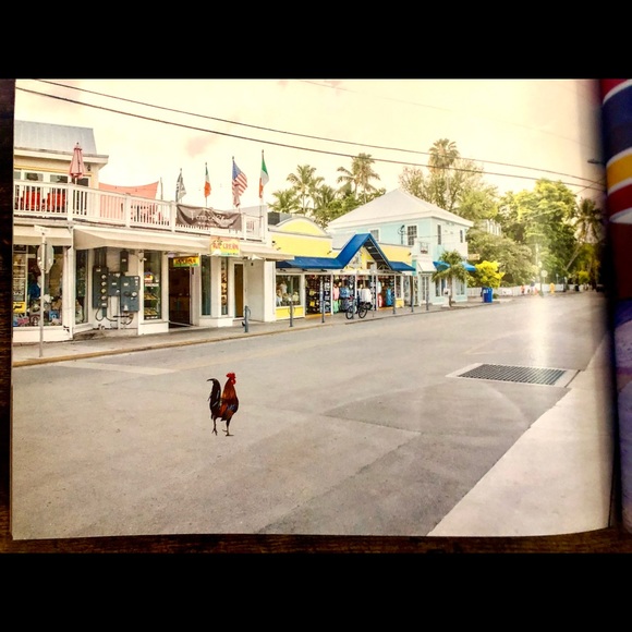 Cocks of Key West Coffee Table Book - Picture 11 of 16
